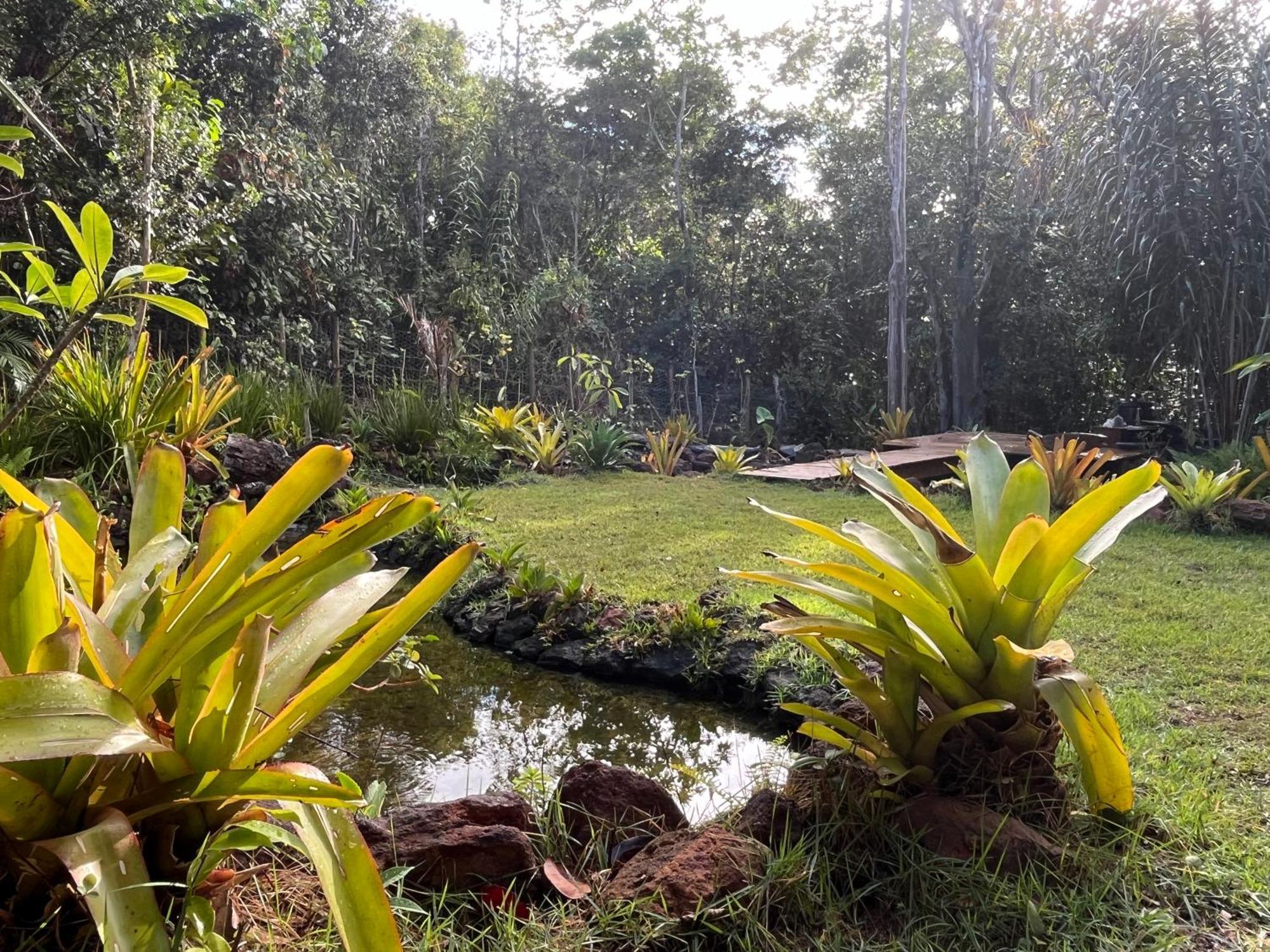 Quinta Do Sossego Hotel Mata de Sao Joao Bagian luar foto